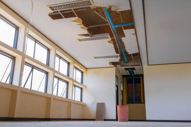 Best Mold removal after water damage  in Roseland, NJ