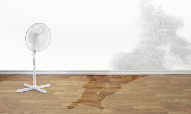 Best Fire Damage Restoration  in Roseland, NJ
