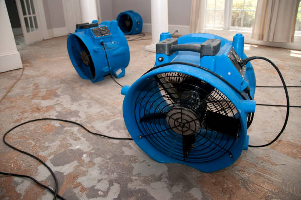 Best Flooded house restoration  in Roseland, NJ
