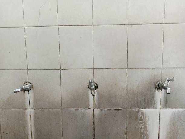 Best Water damage cleanup near me  in Roseland, NJ