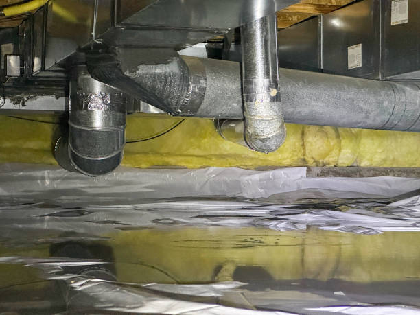 Best Flooded house restoration  in Roseland, NJ