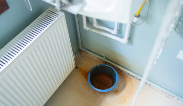 Best Residential water damage restoration  in Roseland, NJ