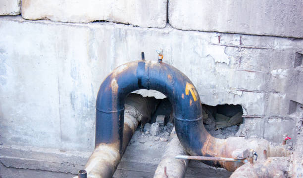 Best Professional water damage repair  in Roseland, NJ