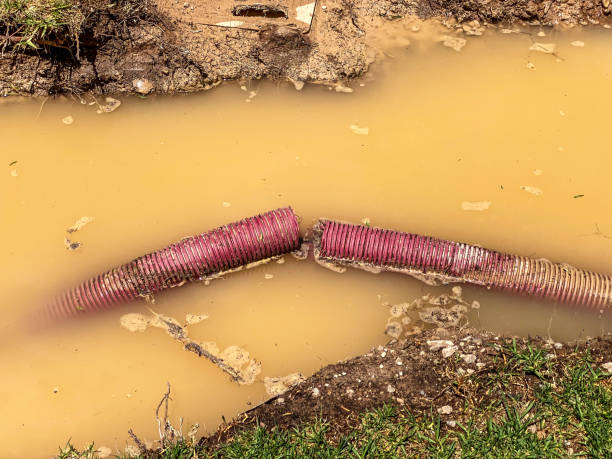Best Emergency water damage restoration  in Roseland, NJ