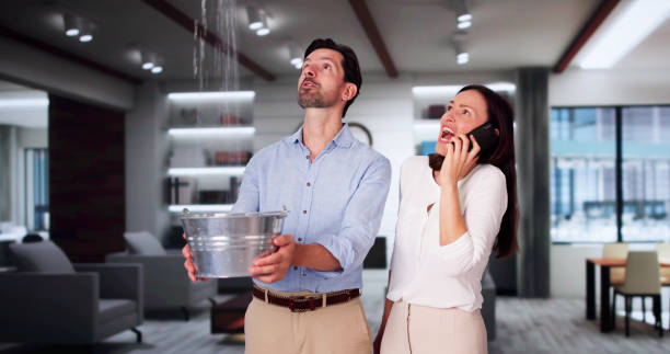 Best Commercial water damage restoration  in Roseland, NJ